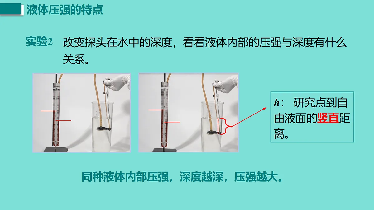 17458756第8页