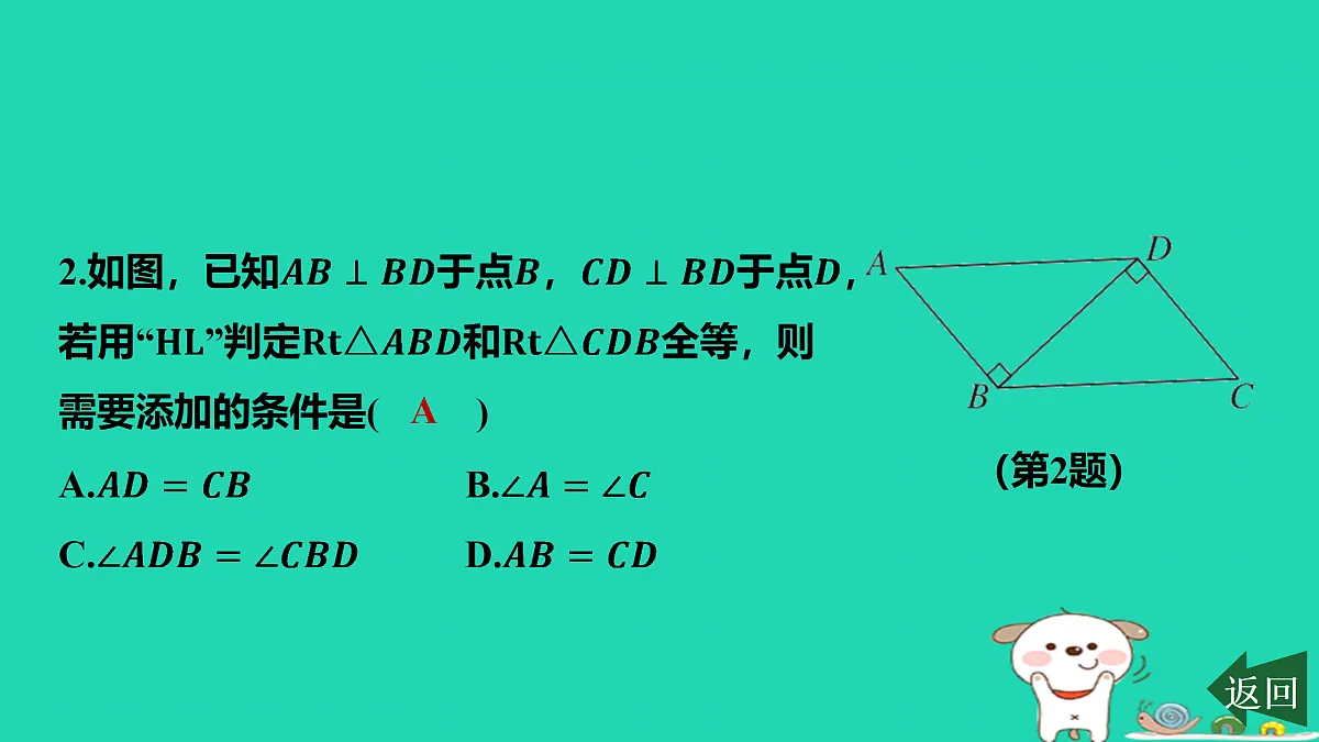 17458941第3页