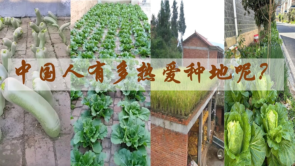 17459362第7页