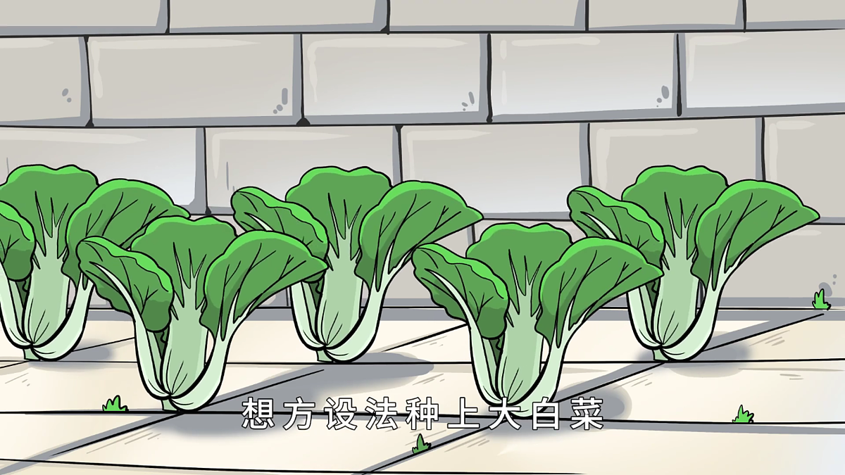 17459362第8页
