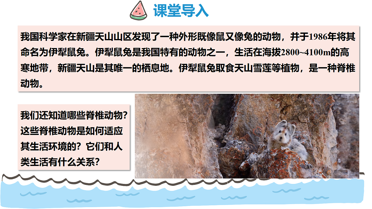 17463917第3页