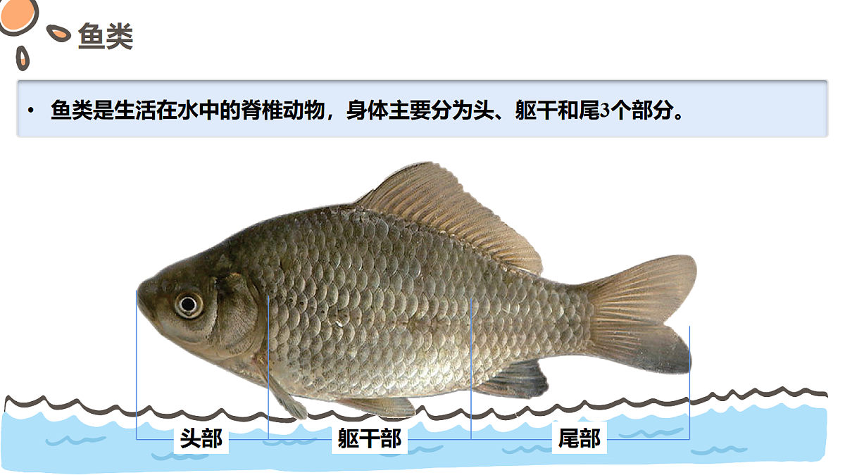 17463917第4页