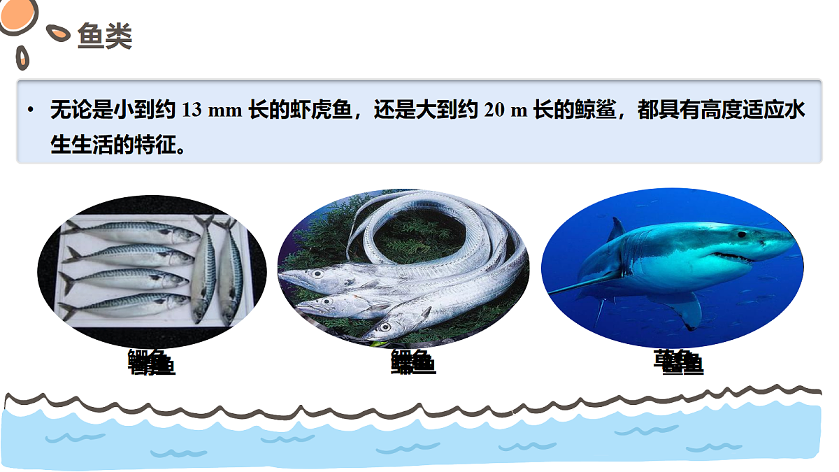 17463917第5页