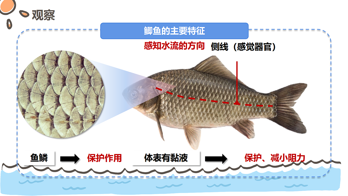 17463917第7页