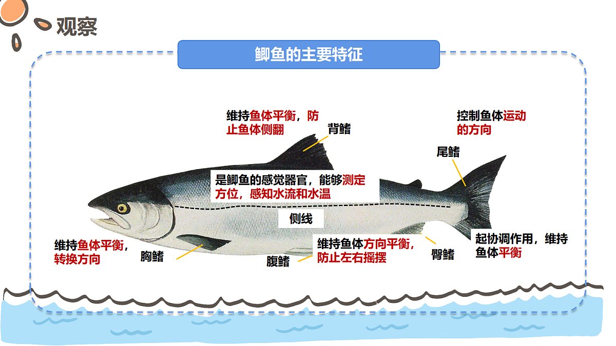 17463917第8页