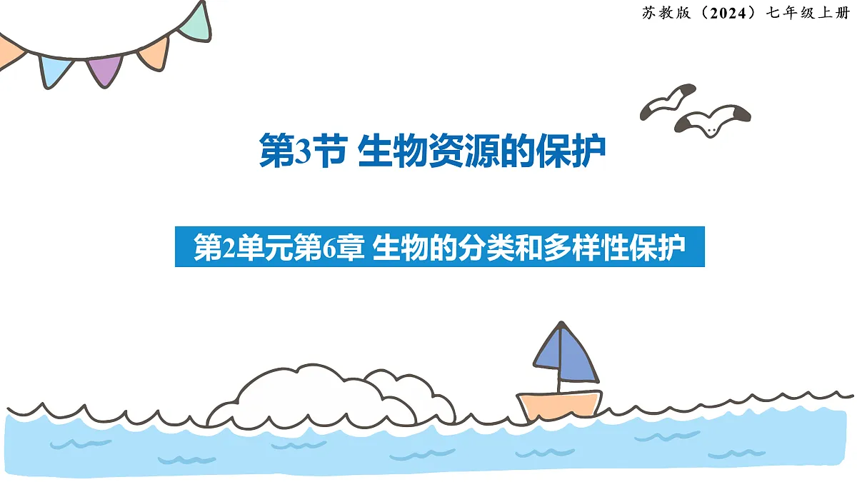 17463926第1页