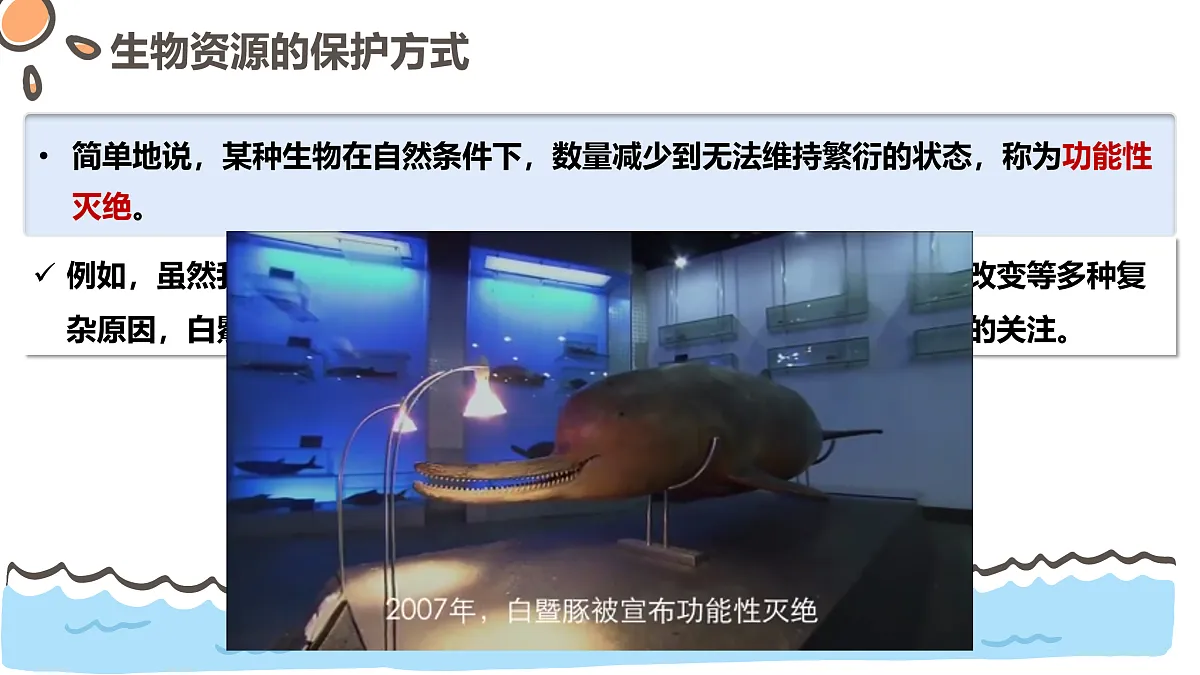 17463926第4页