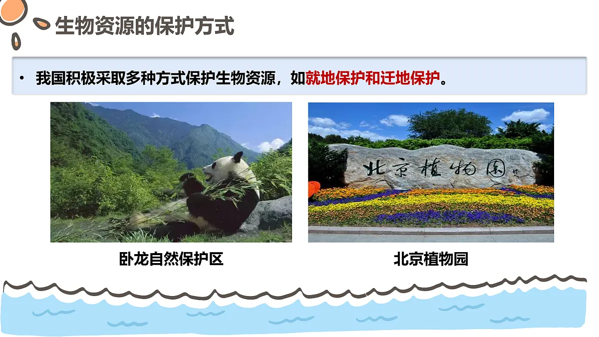 17463926第5页