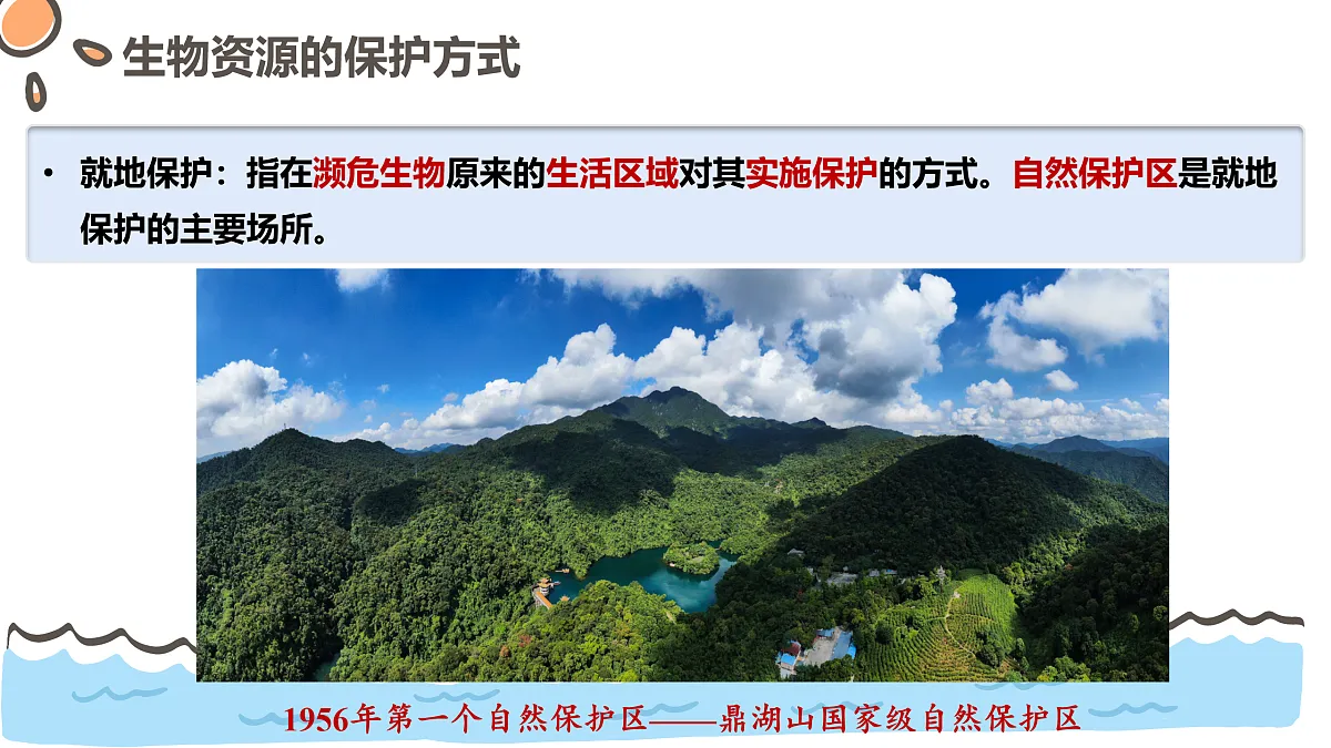 17463926第6页