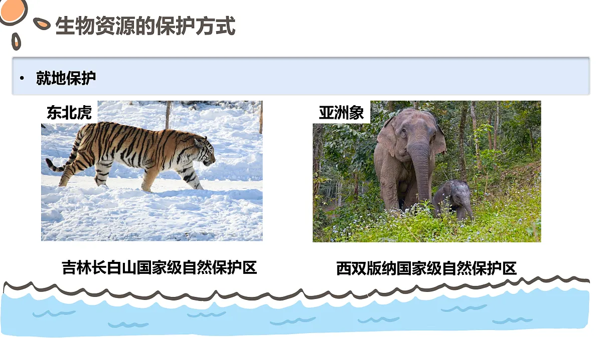 17463926第7页