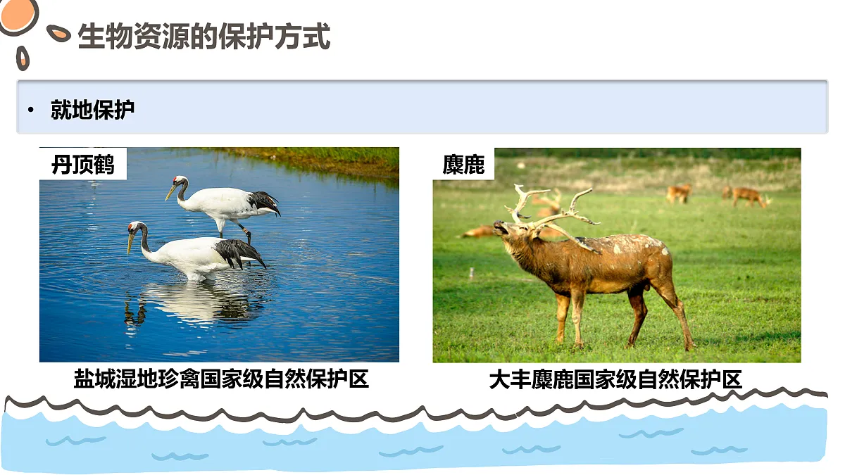 17463926第8页