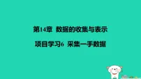 华东师大版（2024）八年级上册（2024）项目学习6 采集一手数据说课ppt课件