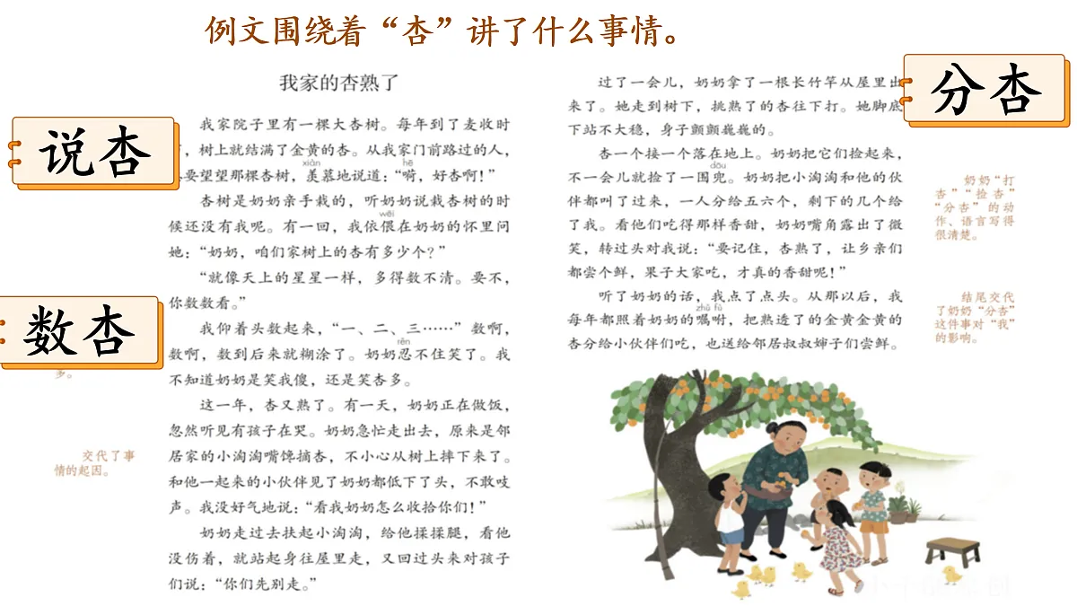 习作五:生活中的万花筒第3页