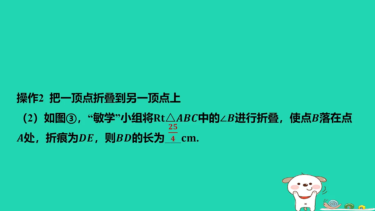 17464253第4页