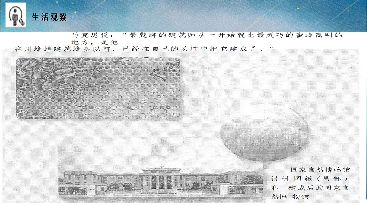 17464671第5页