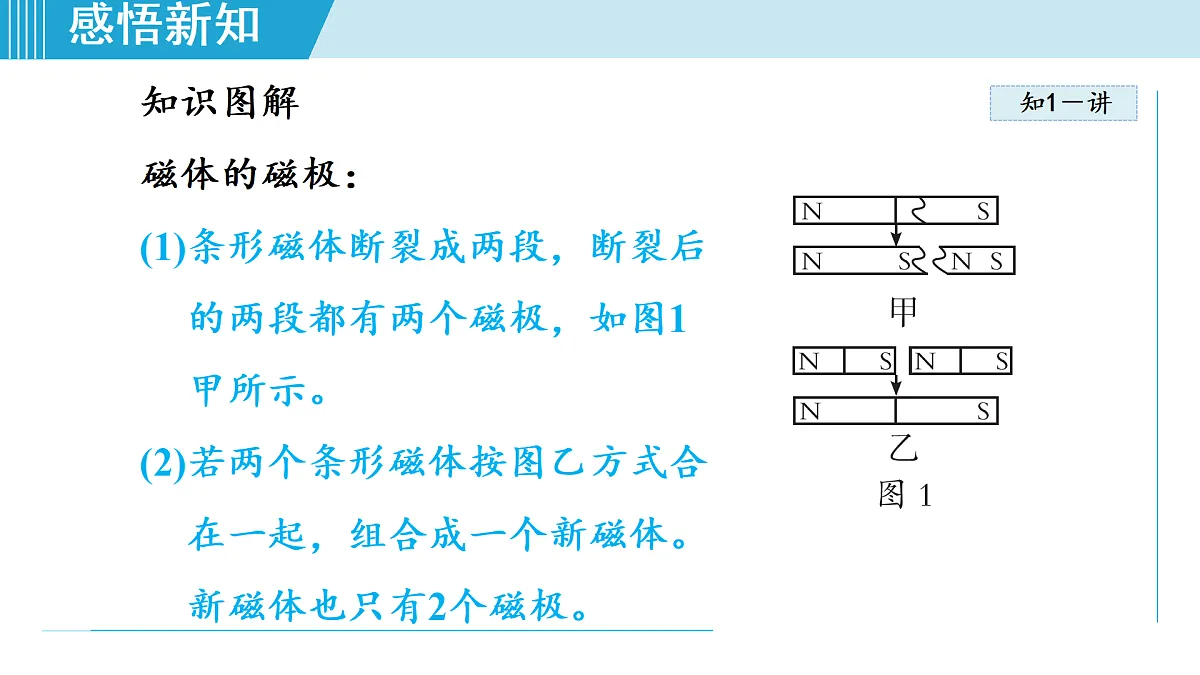 17468420第5页