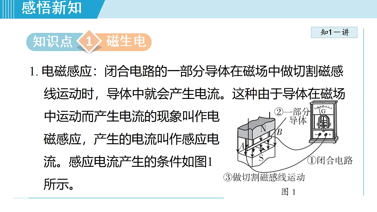 17468424第3页