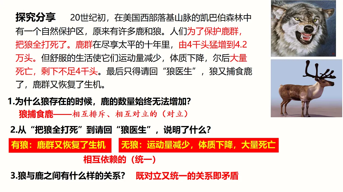 17469183第3页