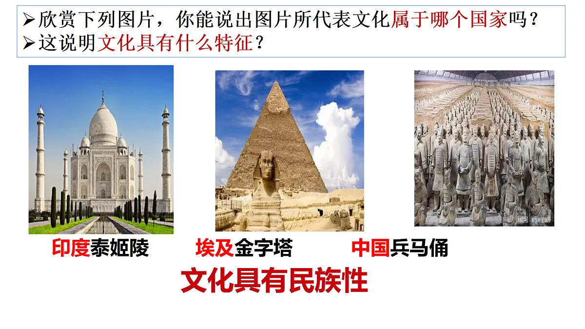 17469203第8页