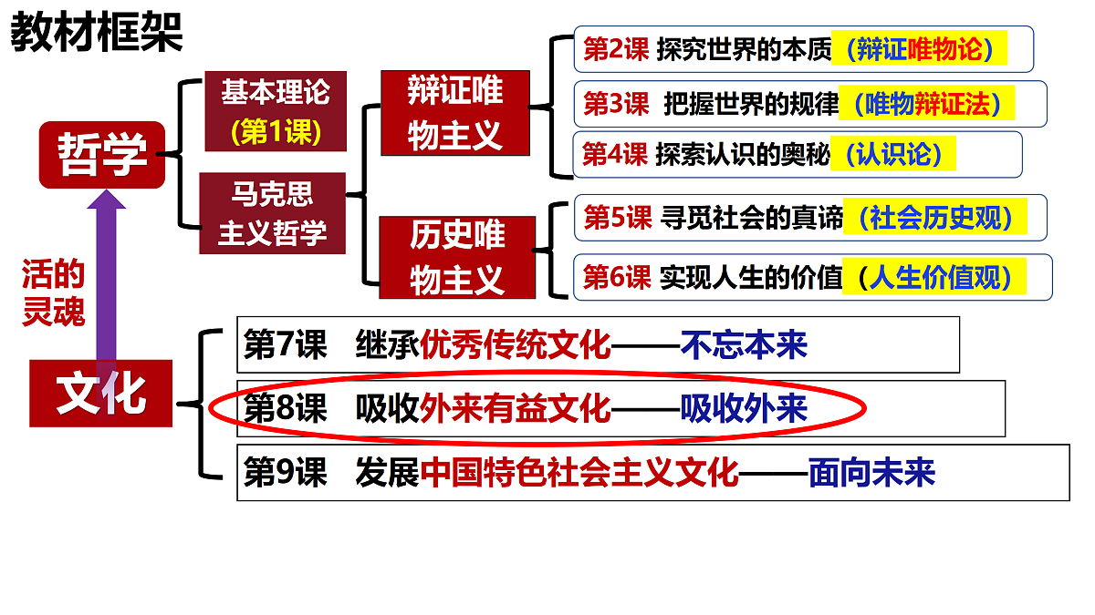 17469204第1页