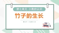 北师大版(2024)竹子的生长课文配套ppt课件