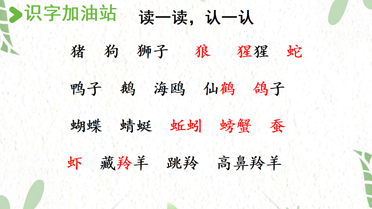17472568第4页
