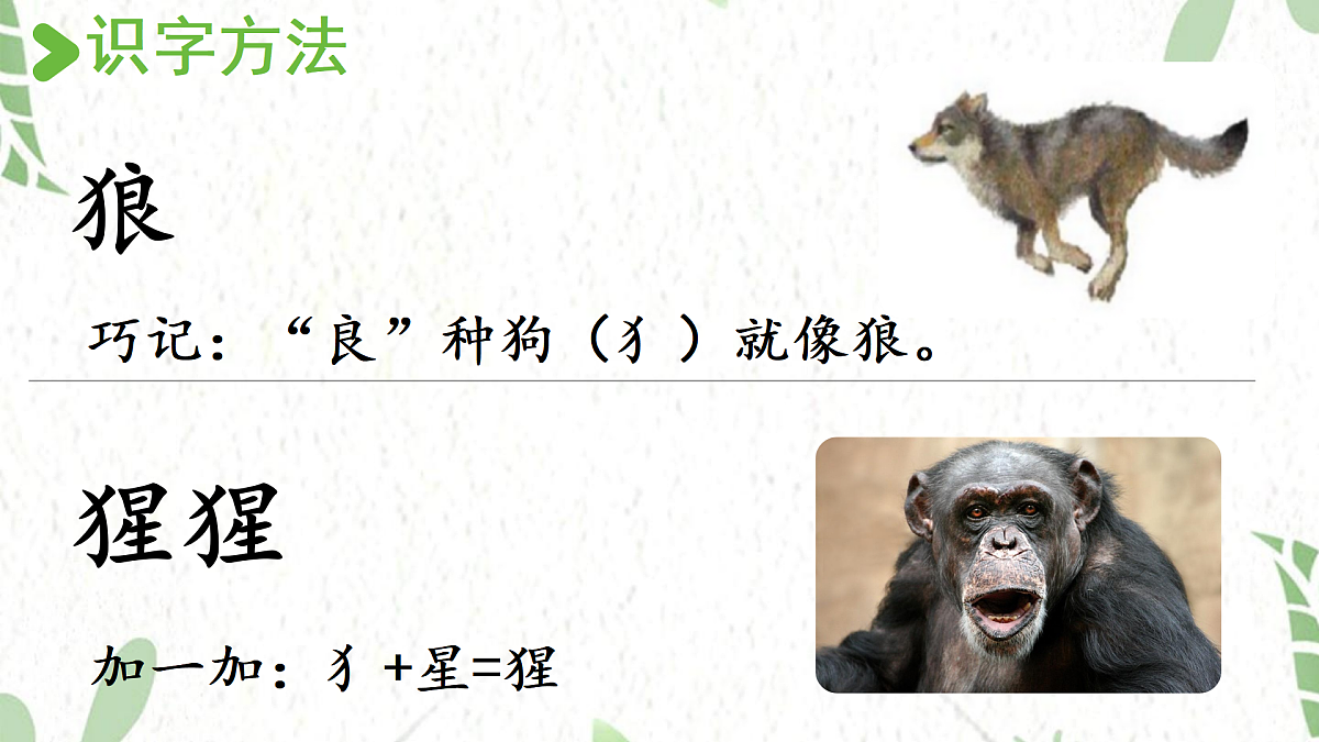 17472568第6页