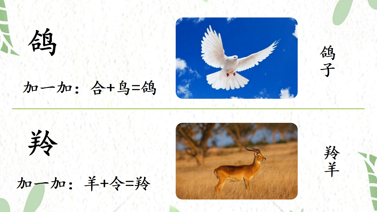 17472568第8页