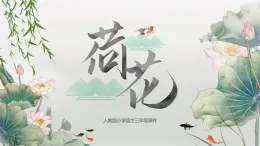 統(tǒng)編版三年級語文上冊課件荷花