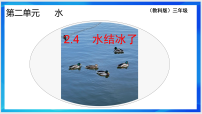 教科版（2024）三年级上册（2024）4.水结冰了课文内容ppt课件