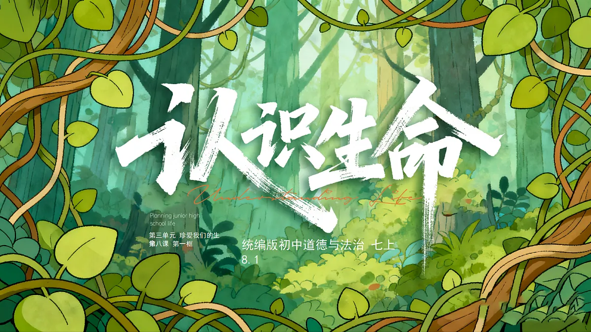 17473156第3页