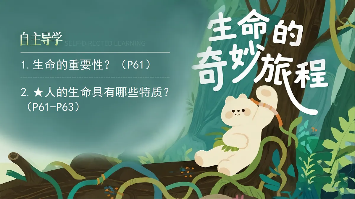 17473156第5页