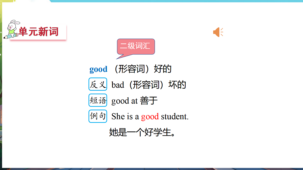 17475007第7页