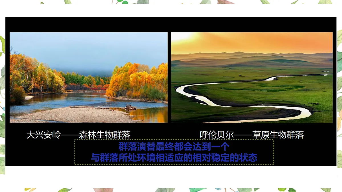 17475082第1页