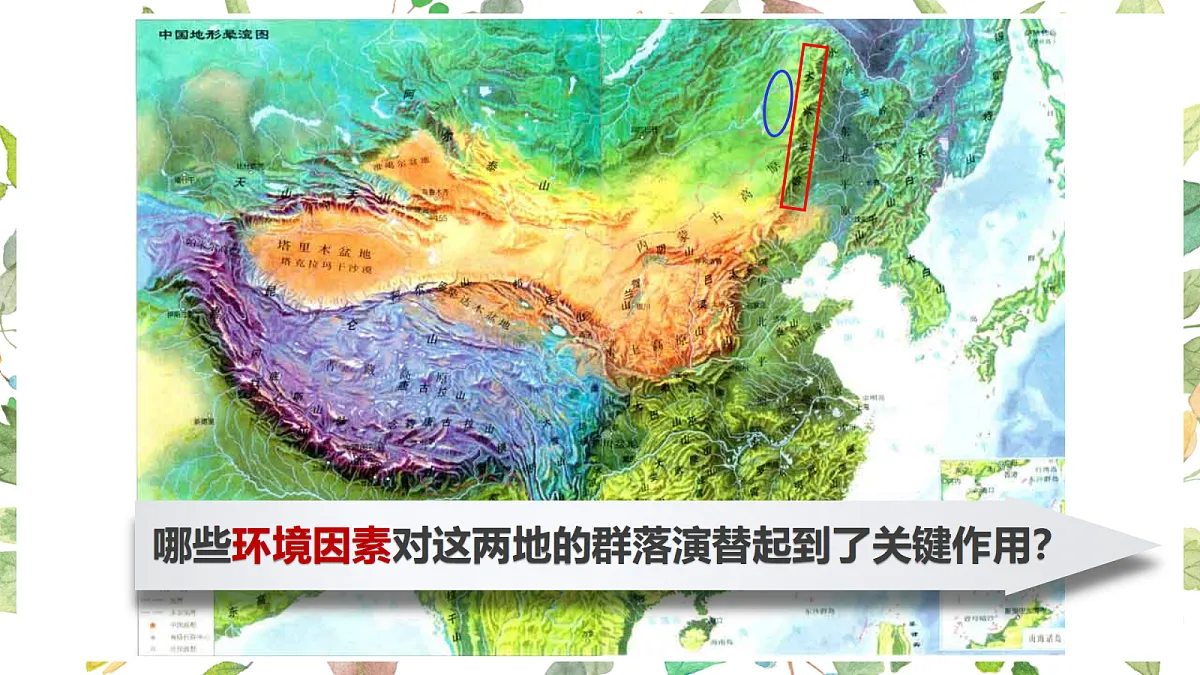 17475082第2页