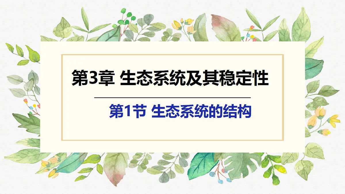 17475082第5页