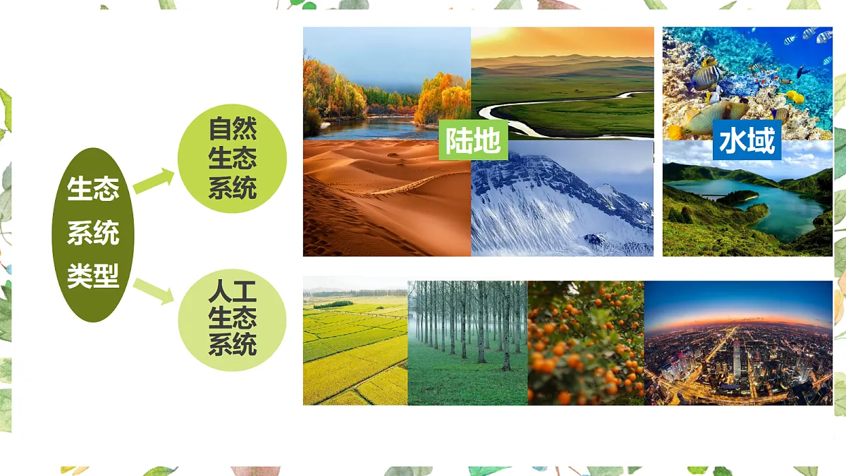 17475082第7页