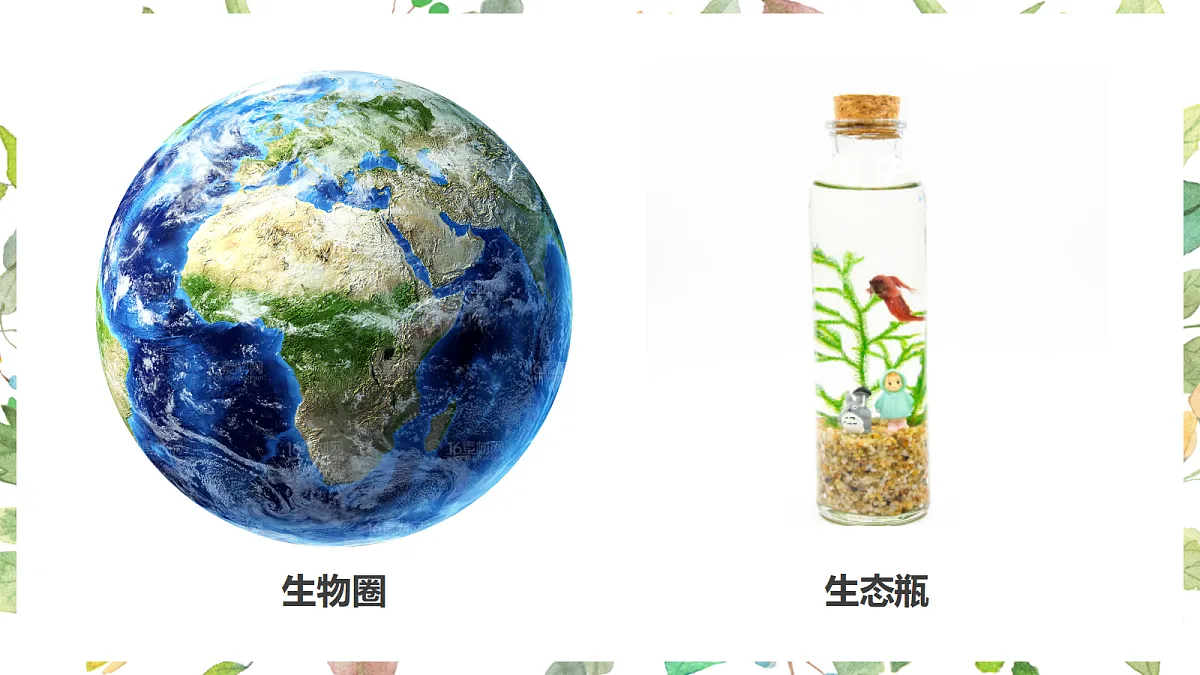 17475082第8页