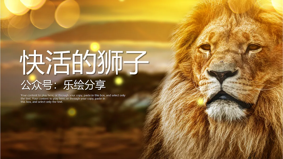 17476608第1页