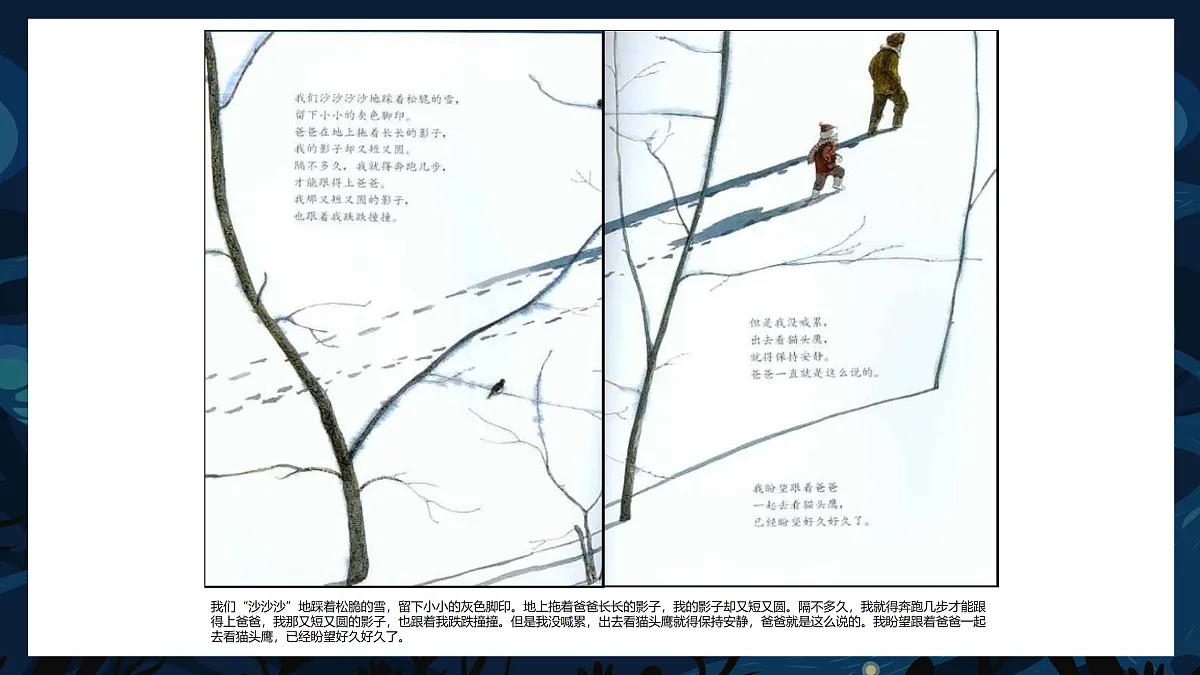 17476617第6页
