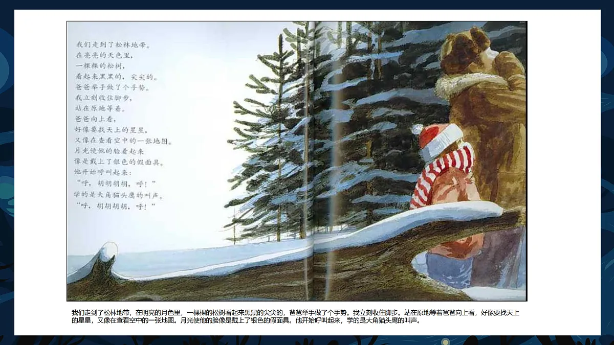 17476617第7页