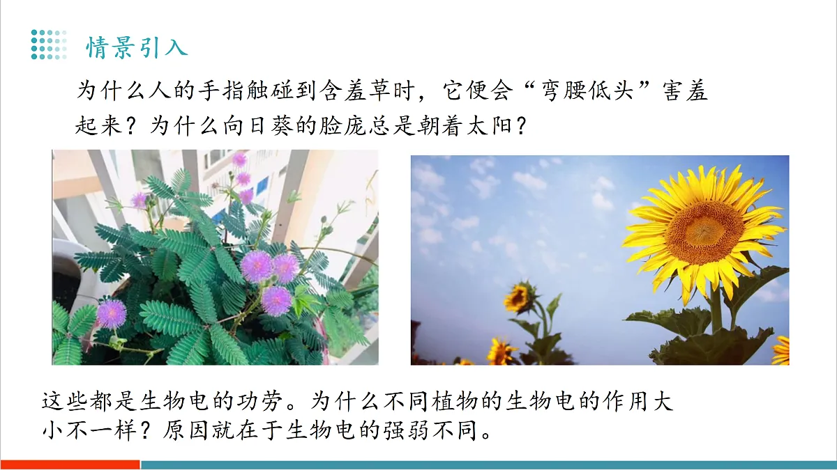 13.3 电流与电流的测量(教学课件)第4页