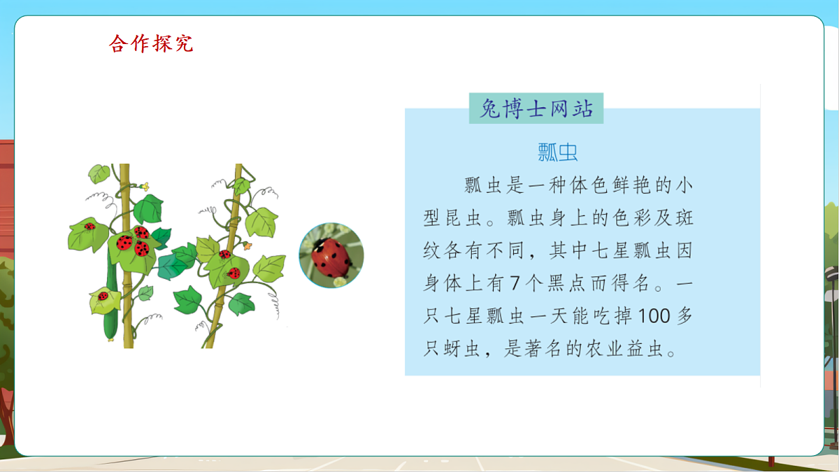 3.5《7的乘法口诀》(课件)第7页
