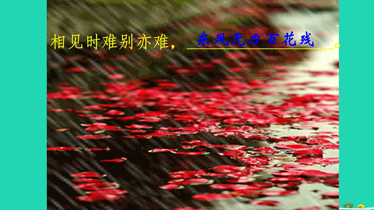 17479972第8页