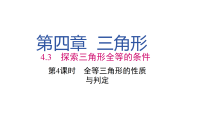 北师大版(2024)七年级下册(2024)探究三角形全等的条件教学课件ppt
