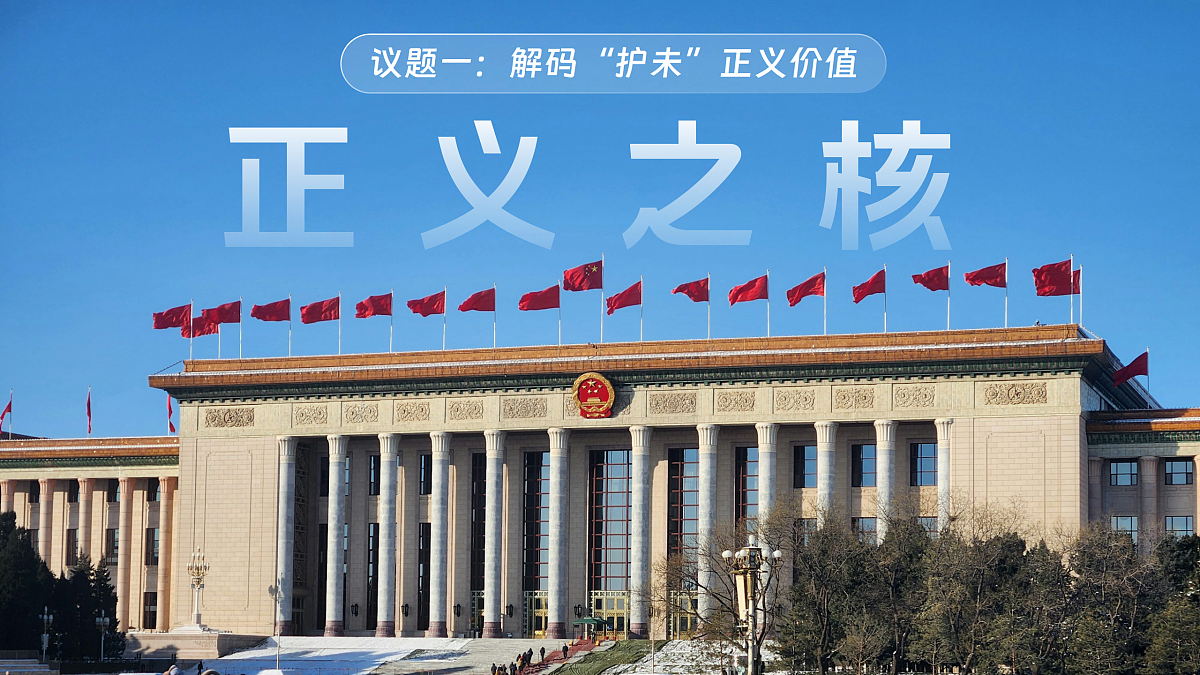 17480562第3页