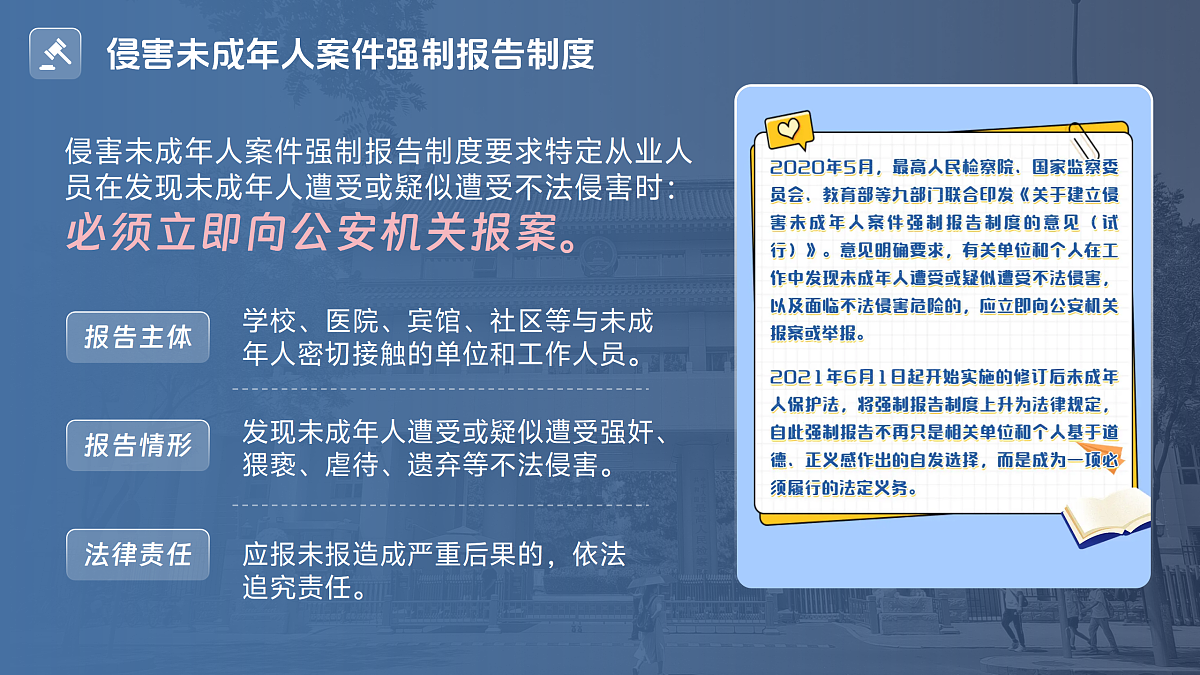 17480562第7页