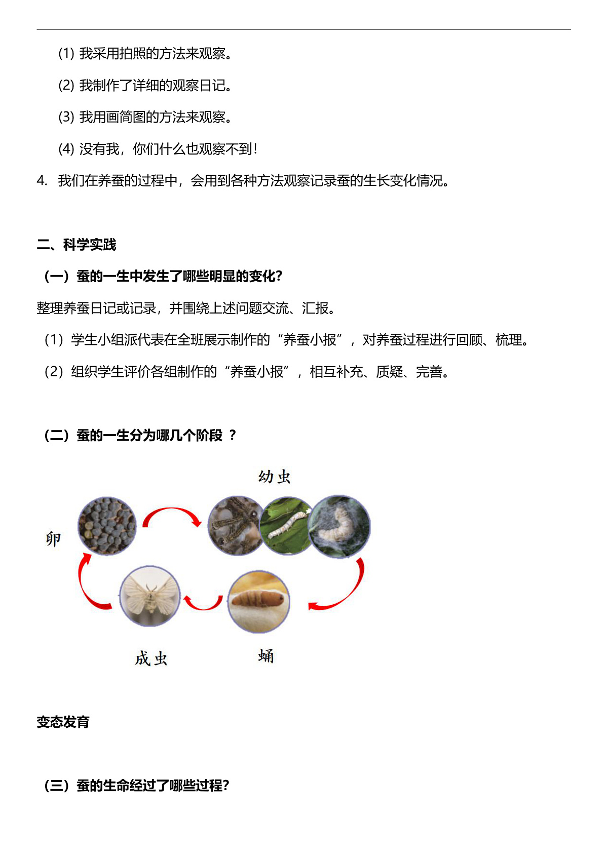 人教鄂教版科学四下2.8《蚕的一生》教案第2页