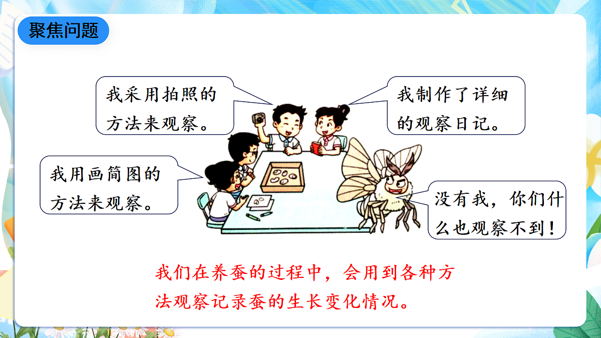 人教鄂教版科学四下2.8《蚕的一生》课件第5页