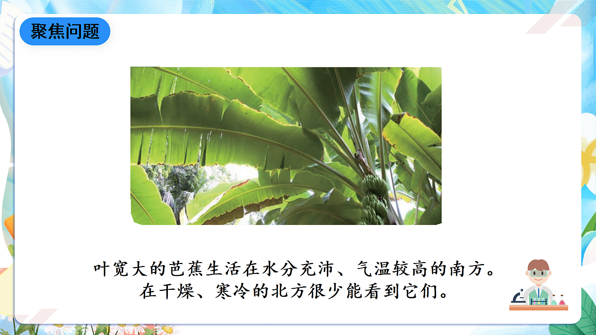 人教鄂教版科学四下3.10《不同环境中的植物》课件第4页